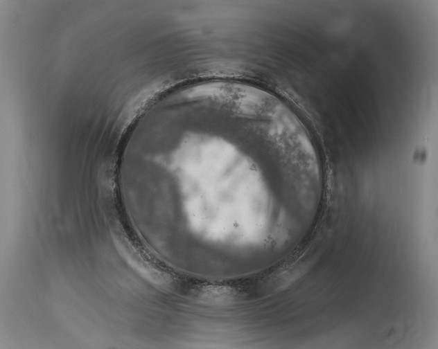 X0000115010203200911161608