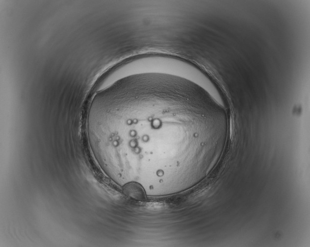 X0000115010204200911161608