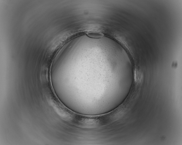 X0000115010205200911161608