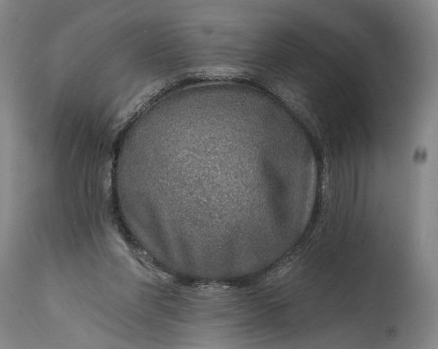 X0000115010206200911161608