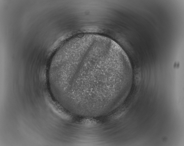 X0000115010207200911161608