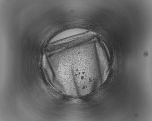 X0000115010210200911161608