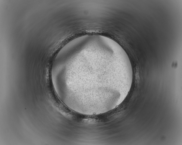X0000115010211200911161608