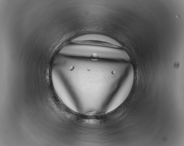 X0000115010212200911161608