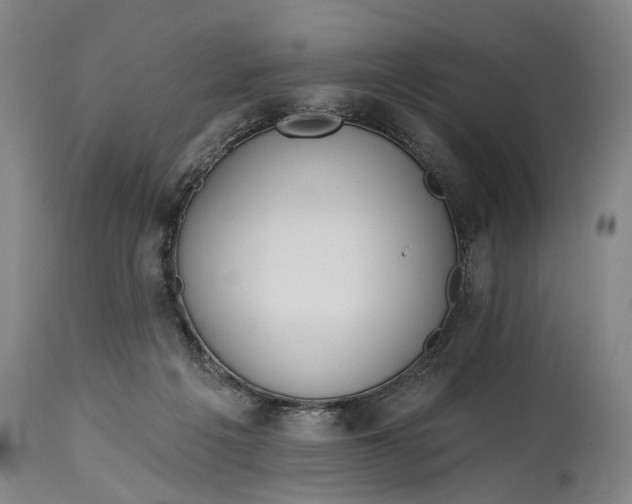 X0000115010217200911161608