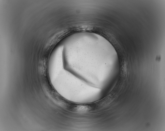 X0000115010218200911161608