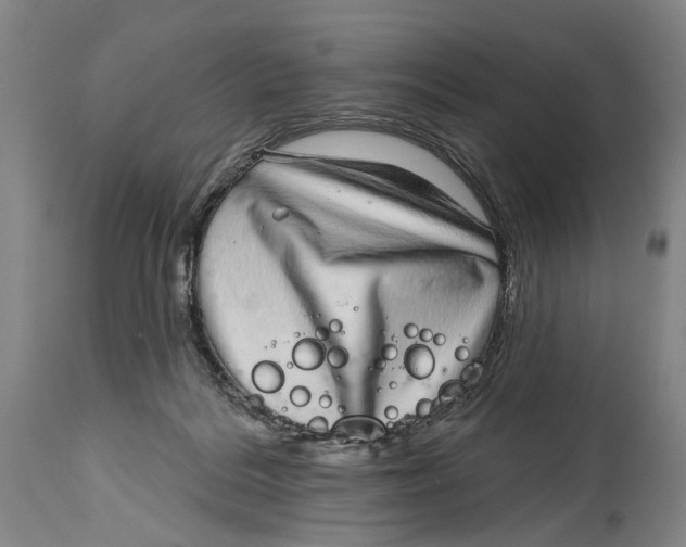 X0000115010220200911161608