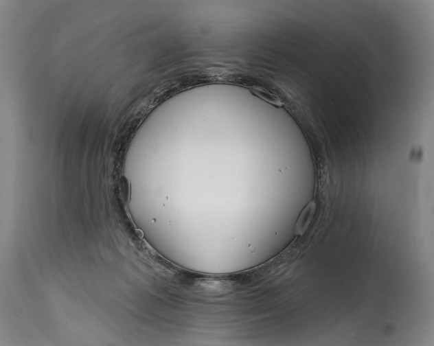 X0000115010221200911161608