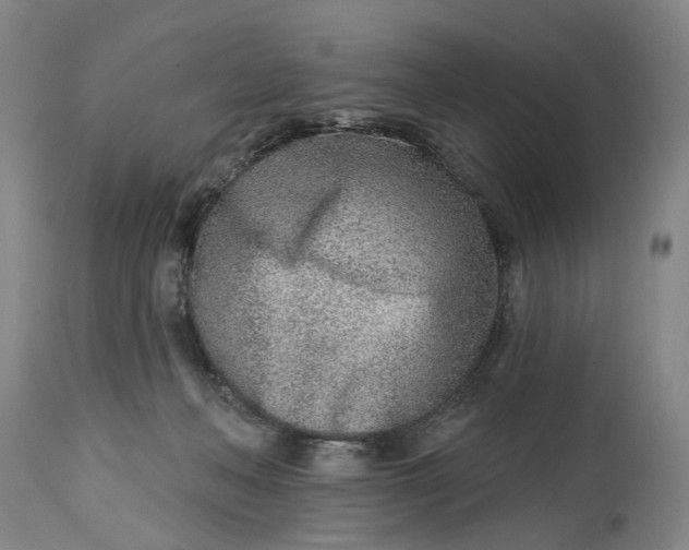 X0000115010222200911161608