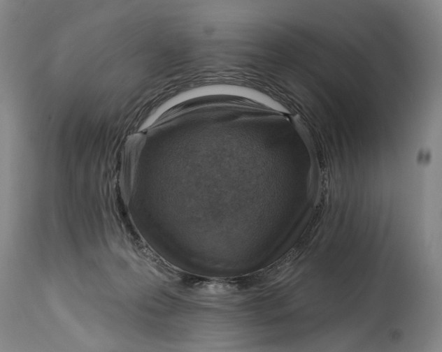 X0000115010223200911161608