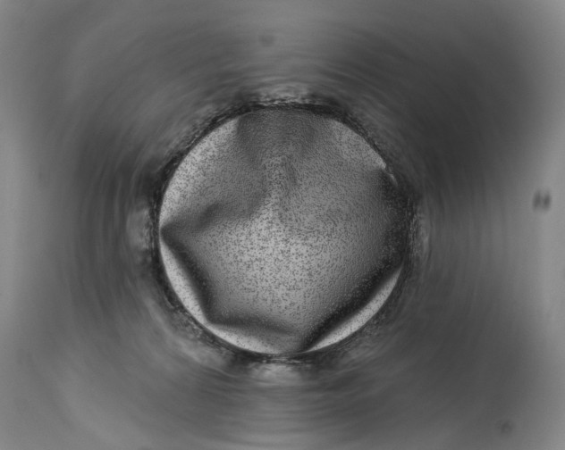 X0000115010224200911161608