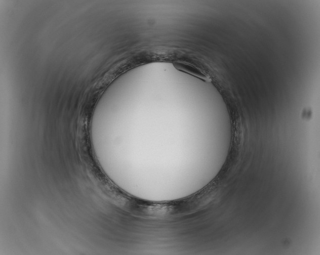X0000115010225200911161608