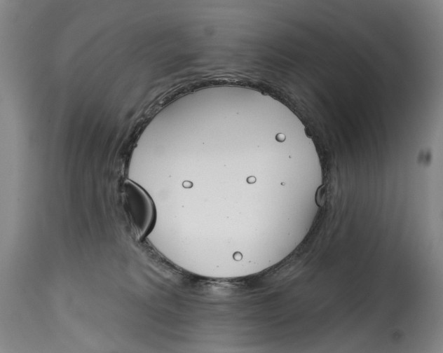 X0000115010229200911161608