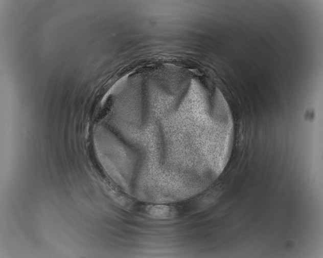 X0000115010230200911161608