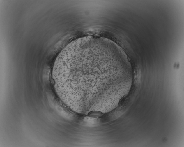 X0000115010231200911161608
