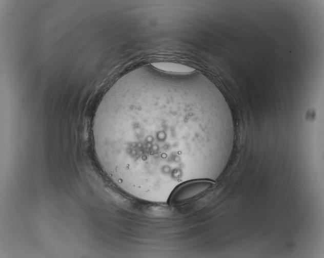 X0000115010232200911161608