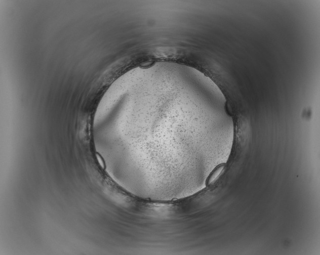 X0000115010233200911161608