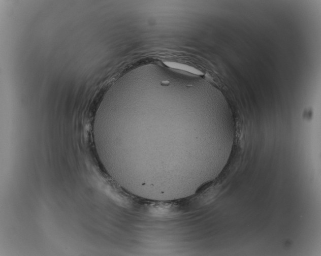 X0000115010235200911161608