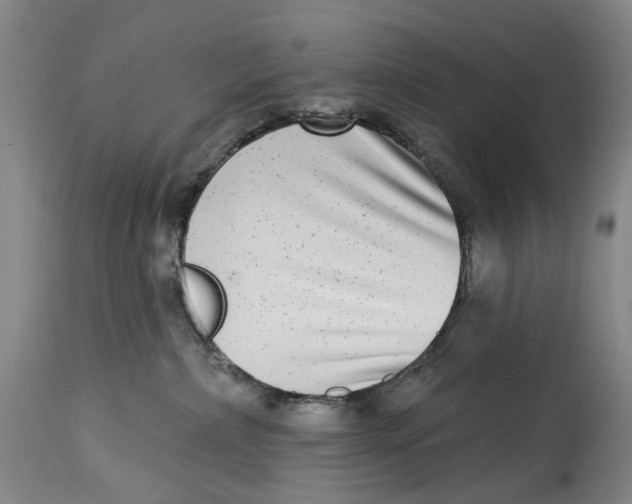 X0000115010236200911161608