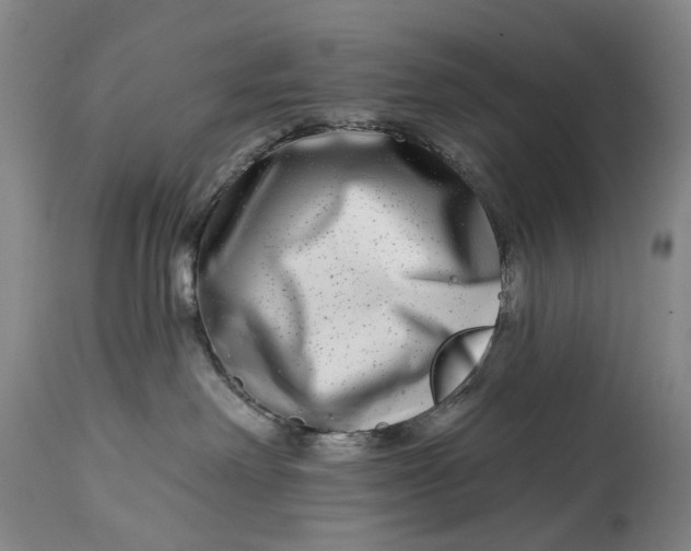 X0000115010238200911161608
