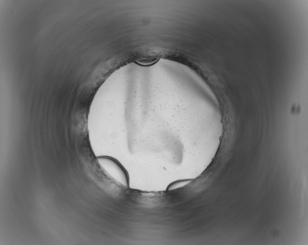 X0000115010240200911161608