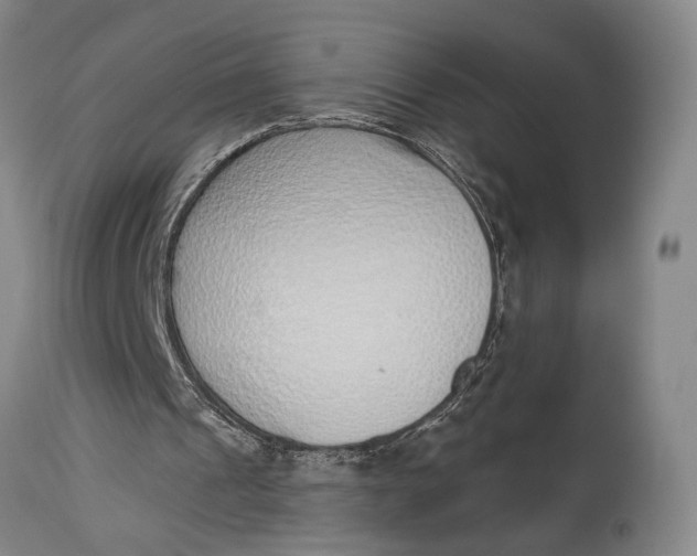 X0000115010241200911161607