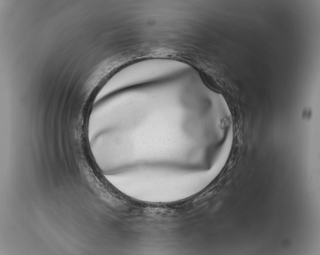 X0000115010242200911161607