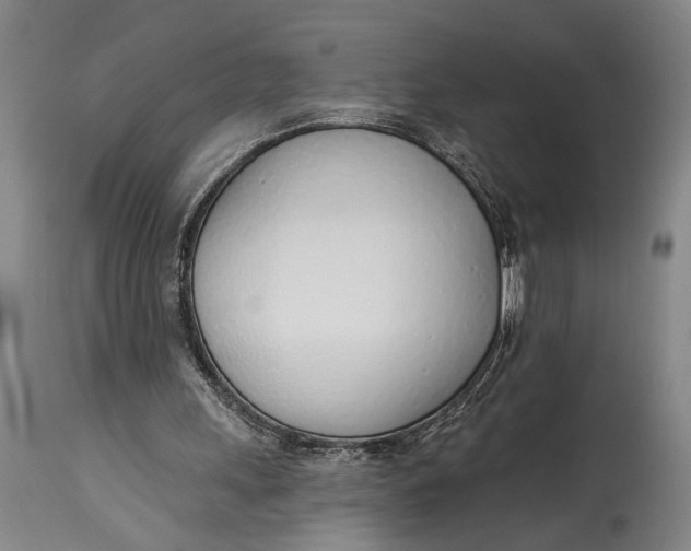 X0000115010243200911161607