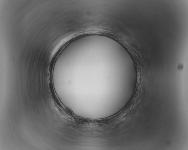 X0000115010244200911161607