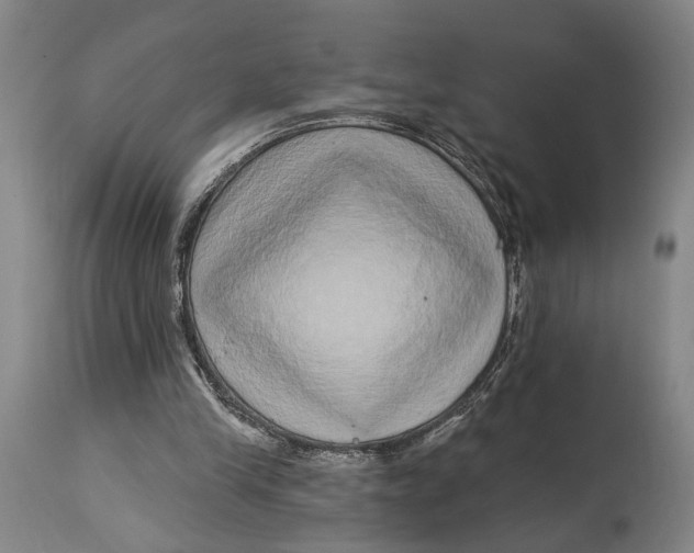 X0000115010245200911161607