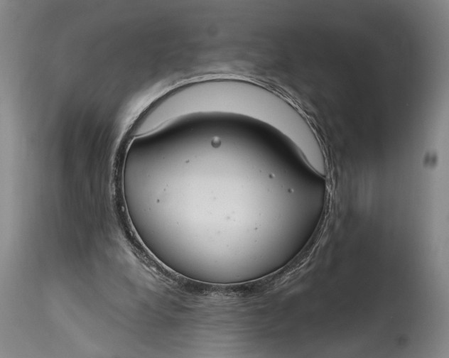 X0000115010248200911161607
