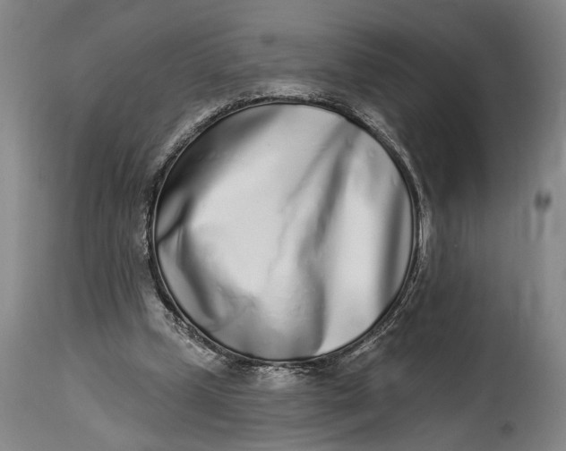 X0000115010249200911161607
