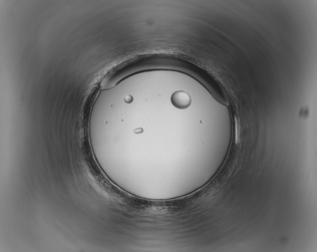 X0000115010252200911161607