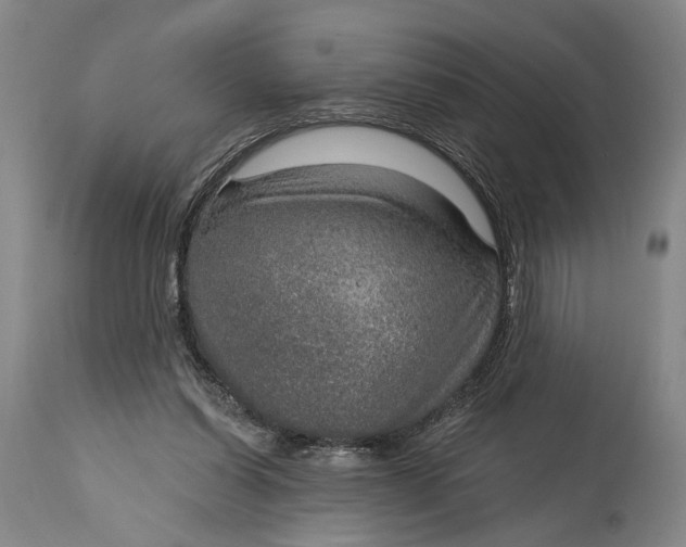 X0000115010254200911161607