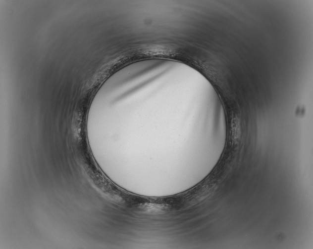 X0000115010255200911161607