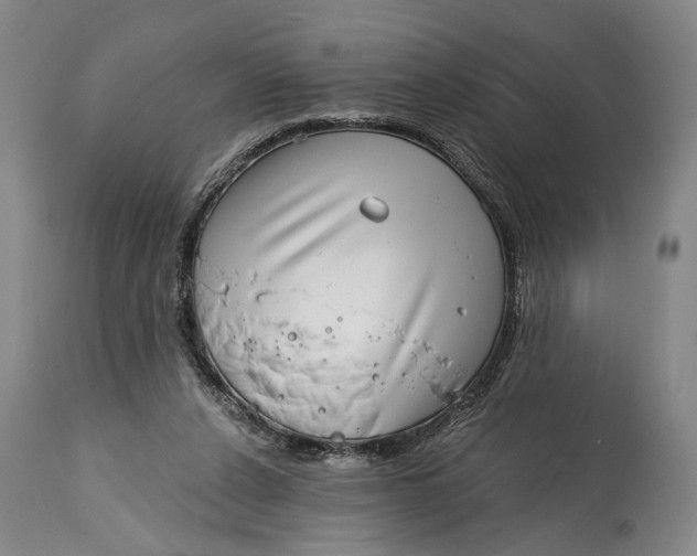 X0000115010256200911161607