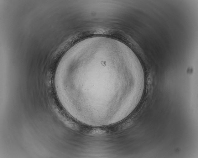 X0000115010257200911161607