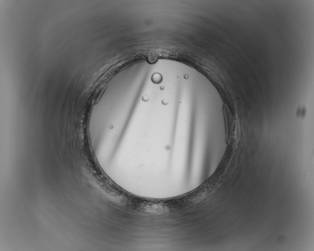 X0000115010258200911161607