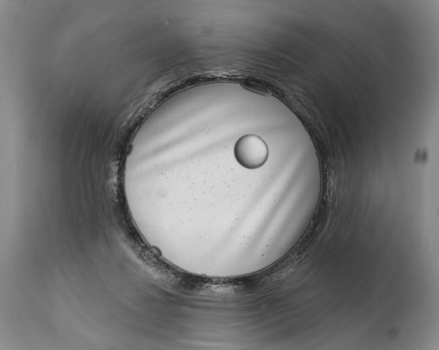 X0000115010260200911161607