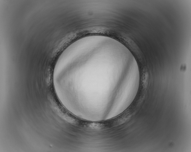 X0000115010261200911161607
