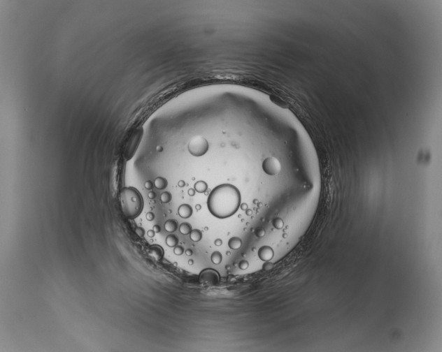 X0000115010262200911161607
