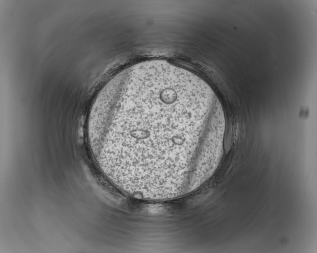 X0000115010264200911161607