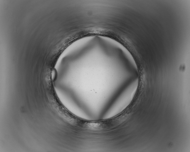 X0000115010265200911161607
