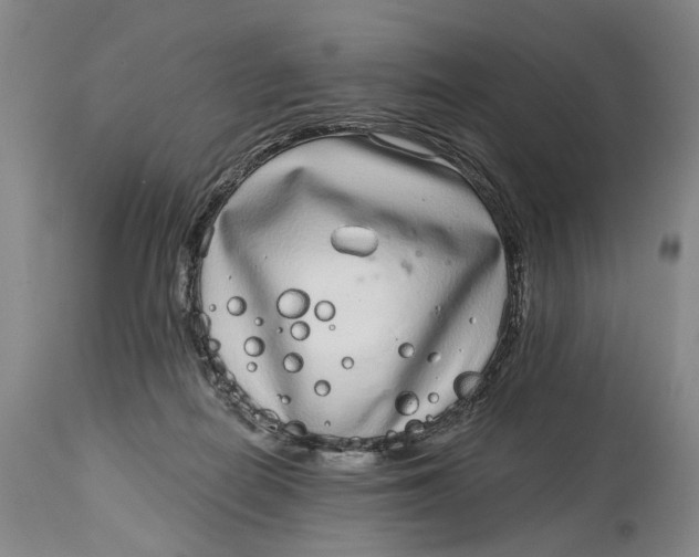 X0000115010266200911161608