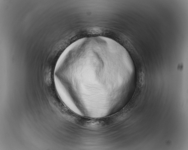 X0000115010267200911161608