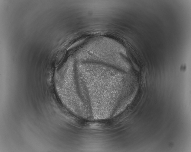 X0000115010268200911161608