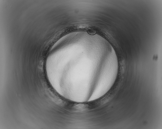 X0000115010269200911161608