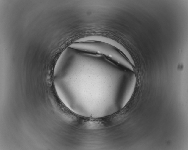 X0000115010270200911161608