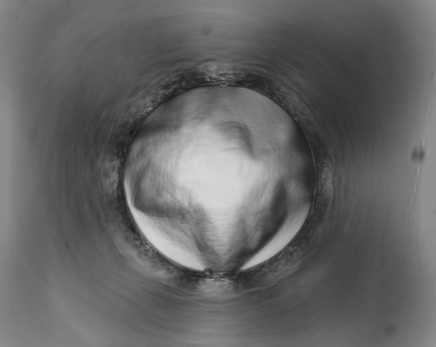 X0000115010271200911161608