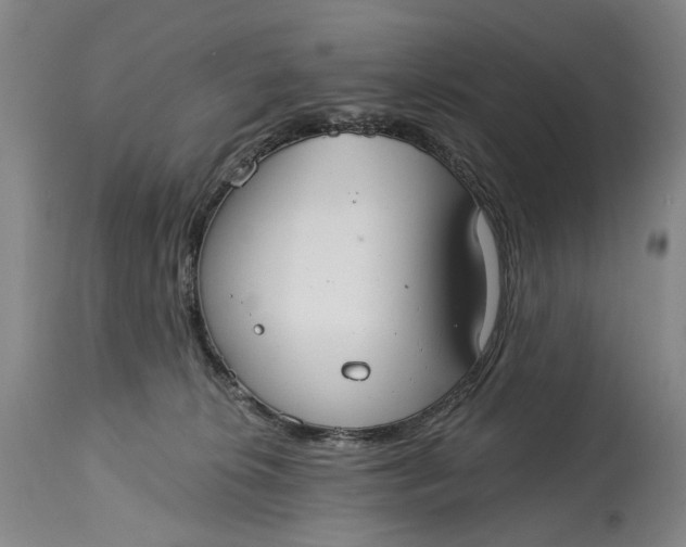X0000115010276200911161608